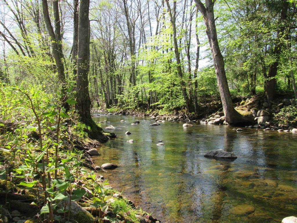 Camping De Masevaux Екстериор снимка