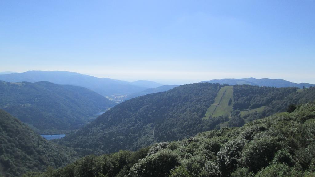 Camping De Masevaux Екстериор снимка